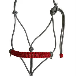 Halter with Rein Rings