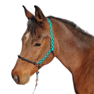 Paracord Pressure Halter