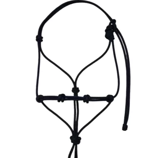 Training Halter