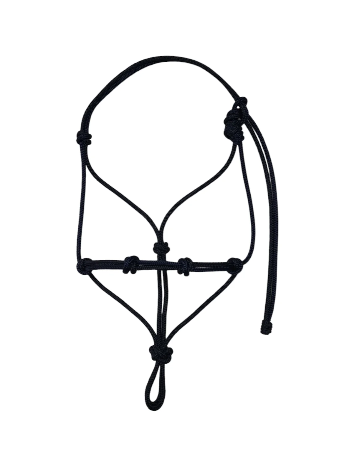 Training Halter Upington Saddlery
