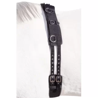 Capriole Lunge Roller