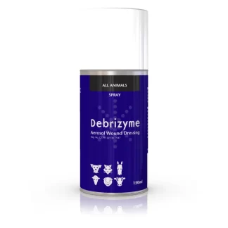 Debrizyme Spray