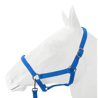 Halter, Exim Economy with Lead