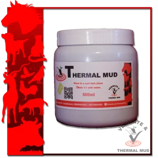 Thermal Mud