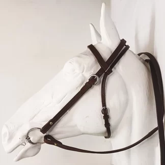 Halters, Bridles and Reins