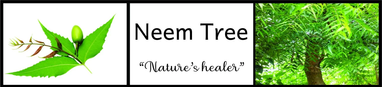 Banner-NEEM-1536×352