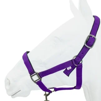 Equistyle Padded Halter with Rope Lead