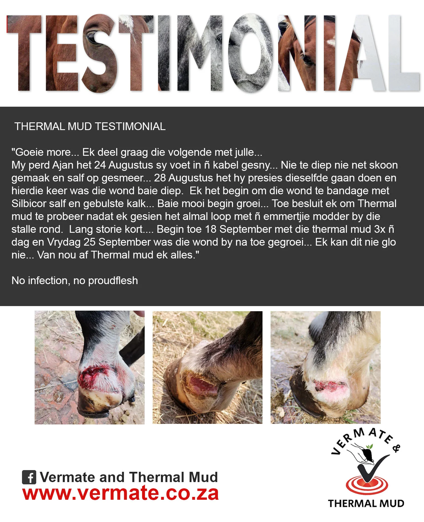 Testimonials-Horses-1