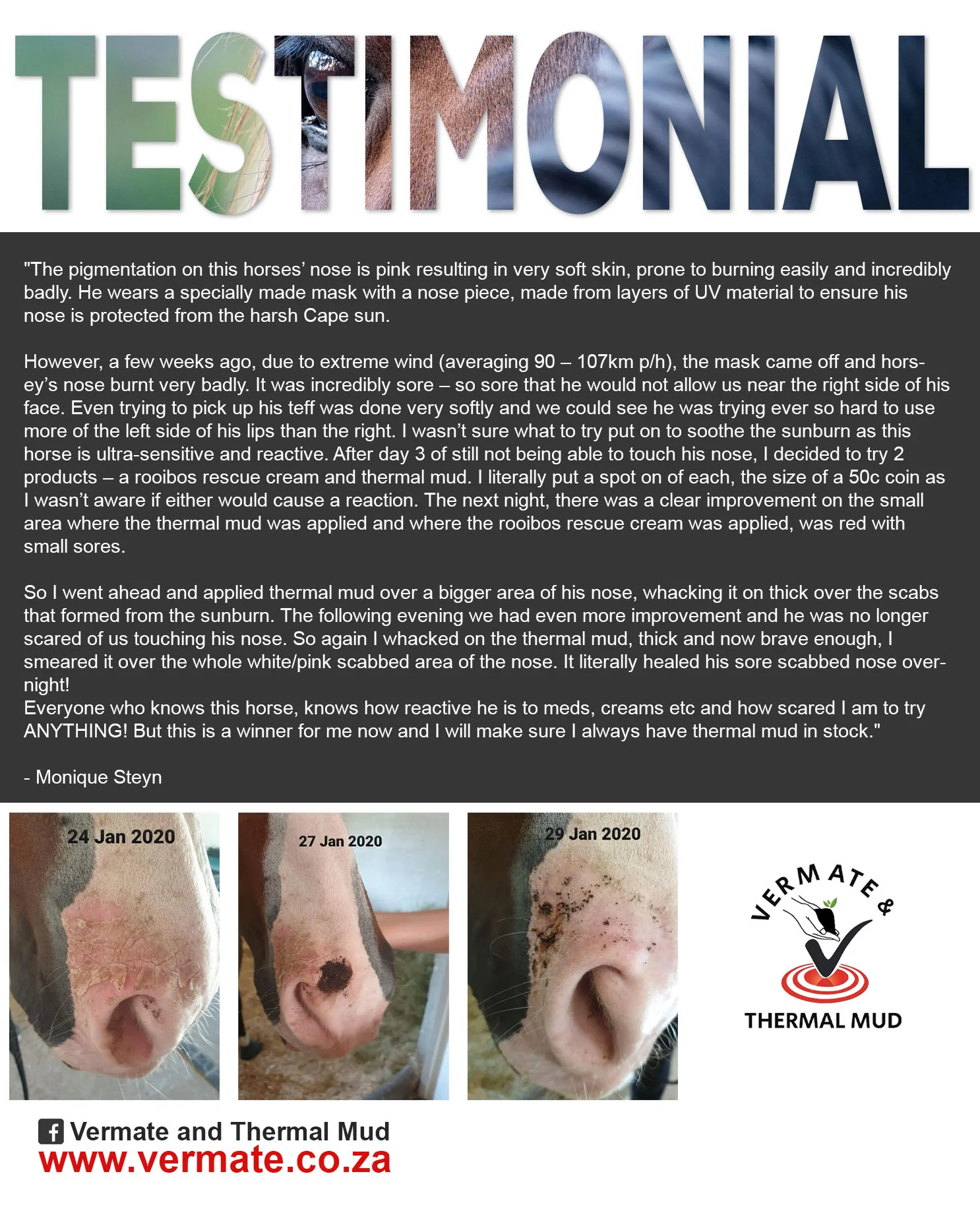 Testimonials-Horses-3