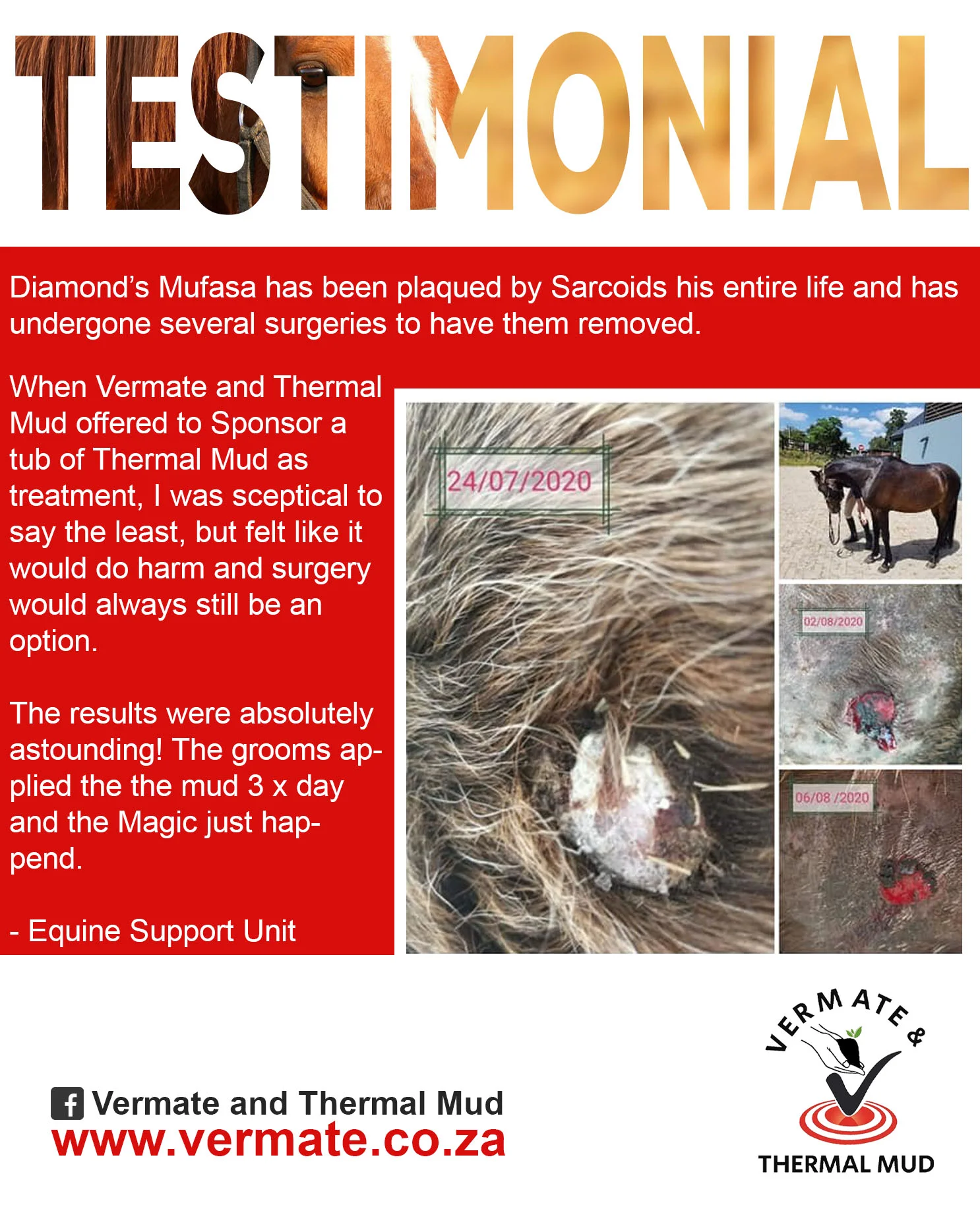 Testimonials-Horses-4
