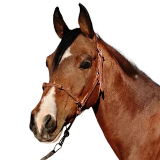 US Leather Training Halter