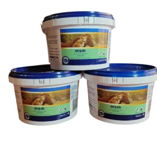 Healthtech MSM Powder - 500gr