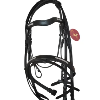 Cavalier Equestrian Rider Bridle