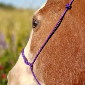 Slip-on Halter