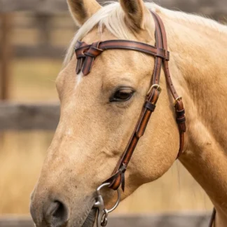 Western Headstall